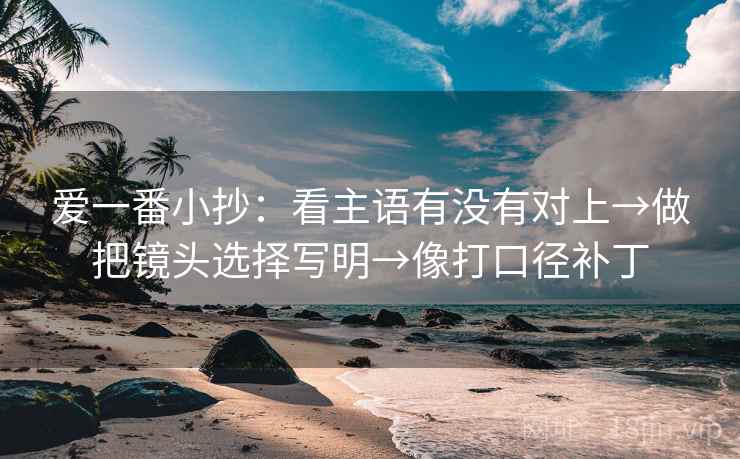 爱一番小抄：看主语有没有对上→做把镜头选择写明→像打口径补丁  第2张