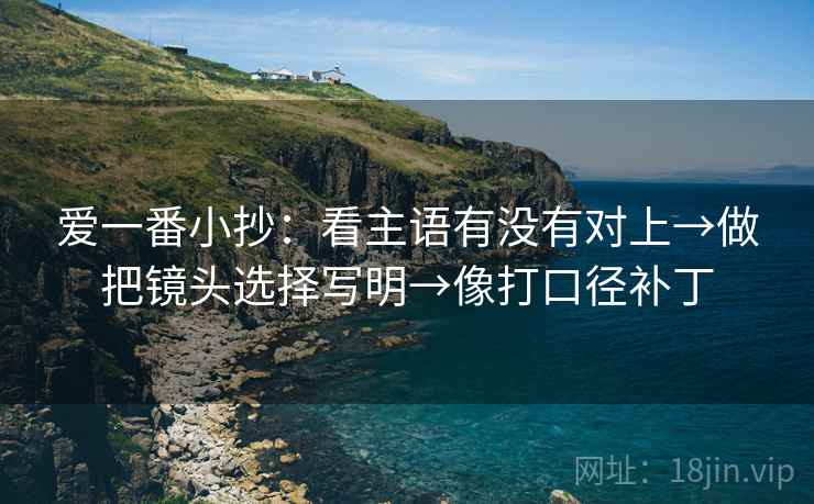 爱一番小抄:看主语有没有对上→做把镜头选择写明→像打口径补丁